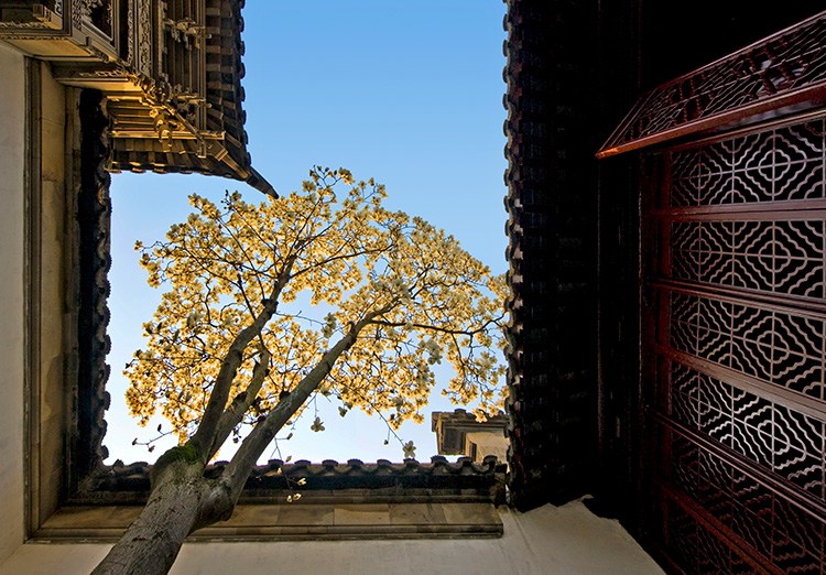 Master of the Nets Garden-suzhou